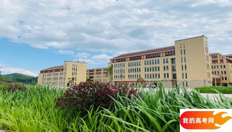 中国计量大学现代科技学院2024年在四川录取分数线、对应位次(附近几年最低录取分数线及位次排名)