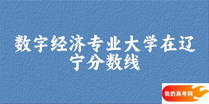 2024数字经济专业辽宁录取分数线多少分 附专业就业方向 (2025参考)