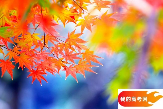 中国地质大学(武汉)2024年在安徽录取分数线、对应位次(附近几年最低录取分数线及位次排名)