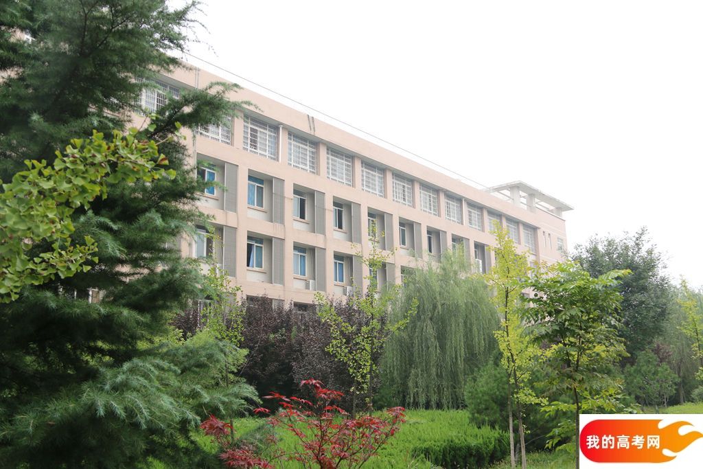 东北农业大学2024年在山东各专业录取分数线(附院校录取分数线录取位次)