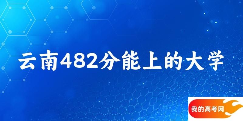 云南高考482分能上的大学有哪些？有哪些专业可选 (2025考生参考)