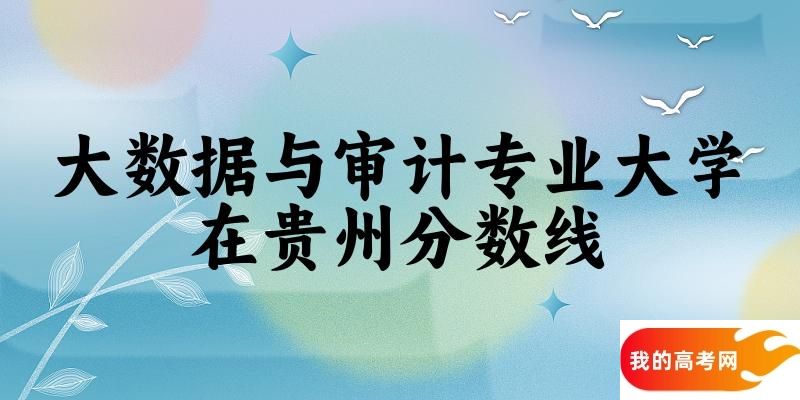 2024大数据与审计专业贵州录取分数线多少分 附专业就业方向 (2025参考)