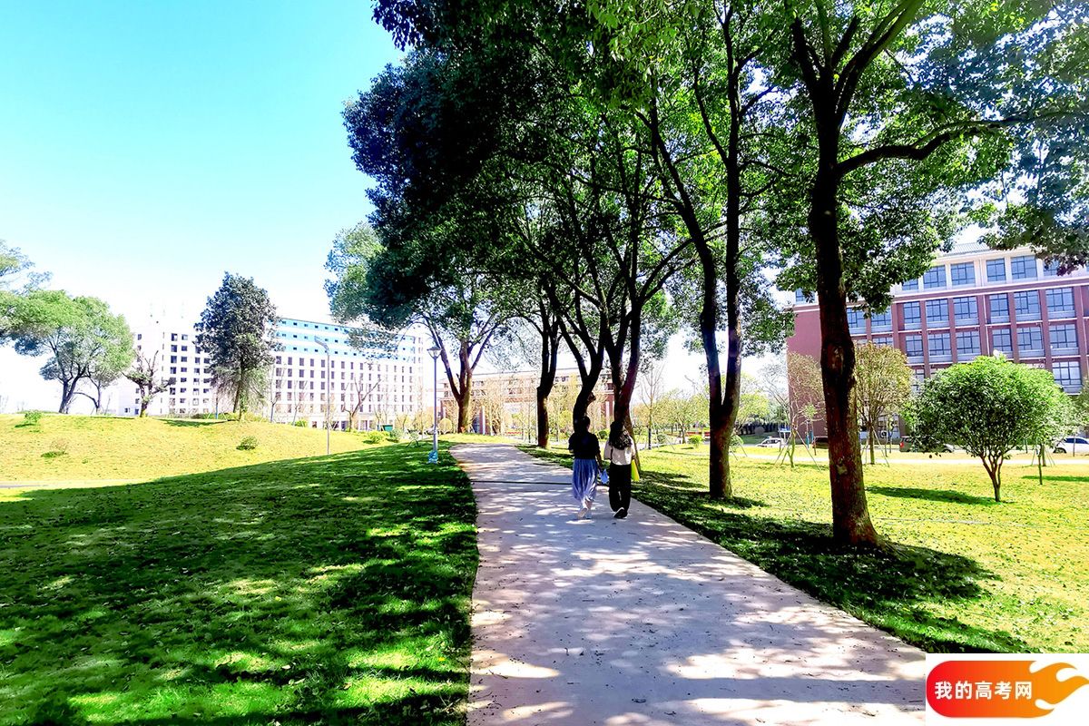 上海第二工业大学2024年在湖南录取分数线、对应位次(附近几年最低录取分数线及位次排名)