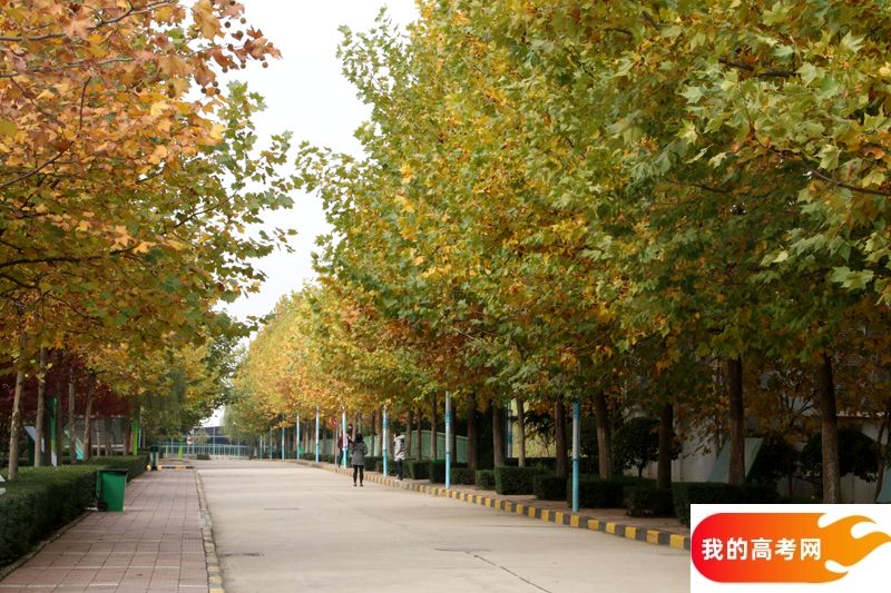 东北大学秦皇岛分校2024年在贵州录取分数线、对应位次(附近几年最低录取分数线及位次排名)