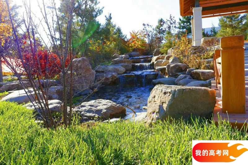 北京林业大学2024年在山东录取分数线、对应位次(附近几年最低录取分数线及位次排名)