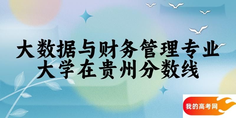 2024大数据与财务管理专业贵州录取分数线多少分 附专业就业