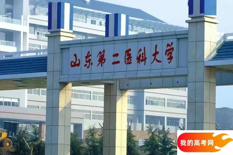 2025潍坊公办本科大学名单，最新完整版名单，2025年参考