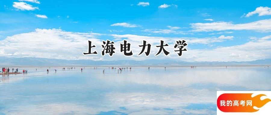 2024上海电力大学录取分数线：宁夏最低515分