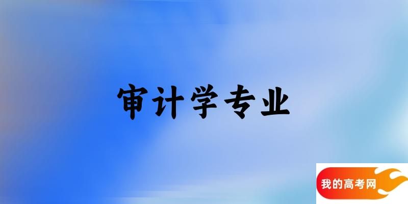 审计学专业新疆录取分数线多少分 附专业就业方向 (2025参