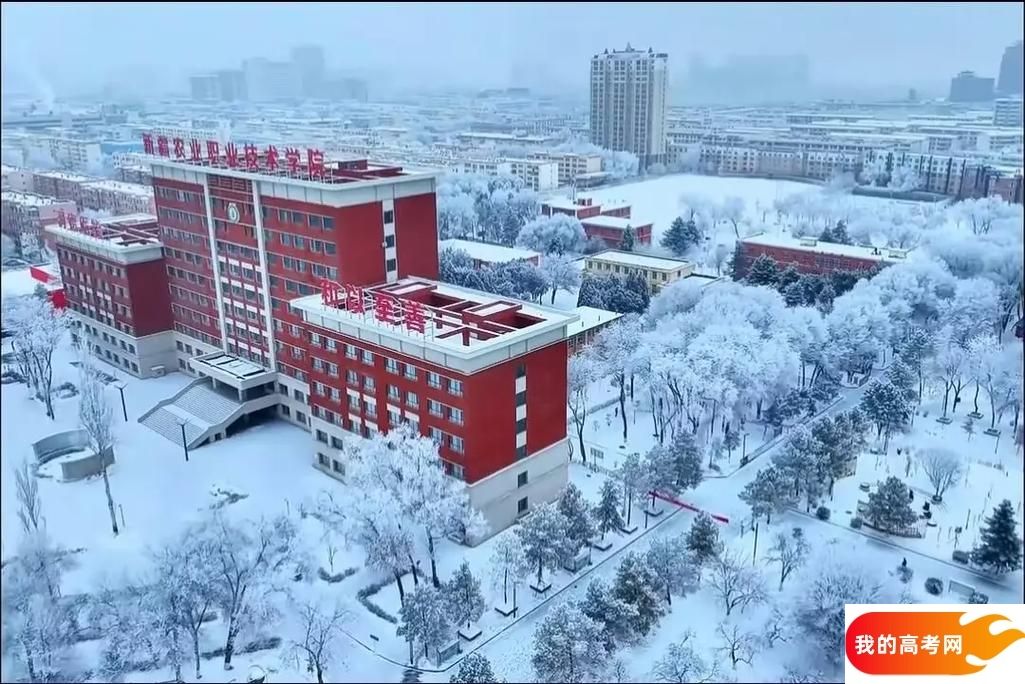 新疆低分二本大学名单-2025新疆压线二本公办学校（10所）(图1)