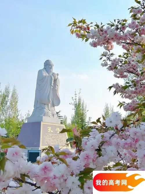 山东分数线最低的财经类大学：需要152分录取（2025年参考）(图1)