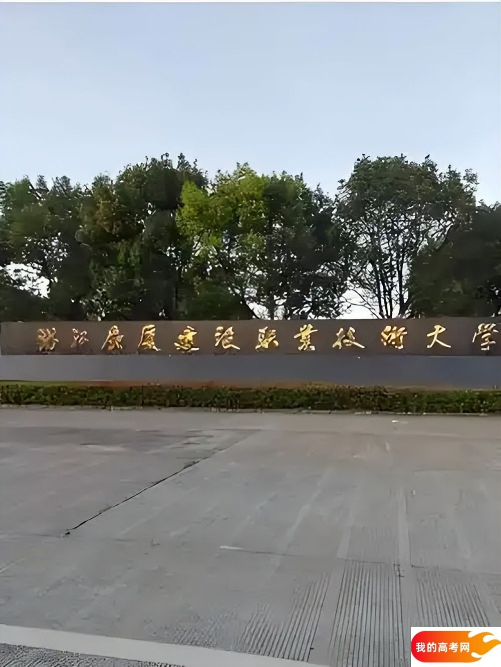 金华分数线最低的民办本科大学：需要406分录取（2025年参考）