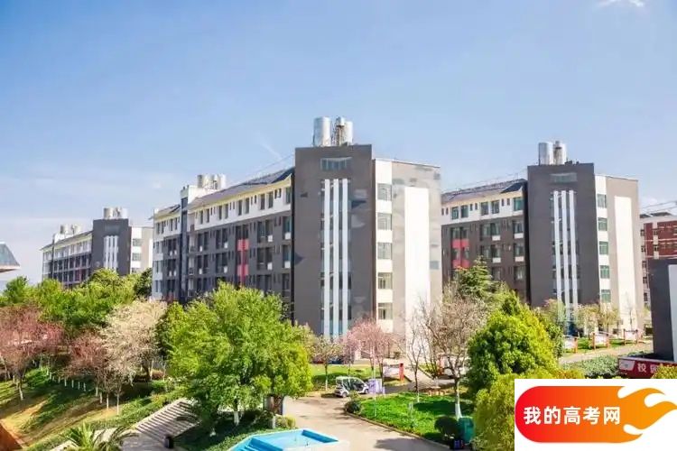 云南分数线最低的民办专科大学：需要200分录取（2025年参考）(图1)
