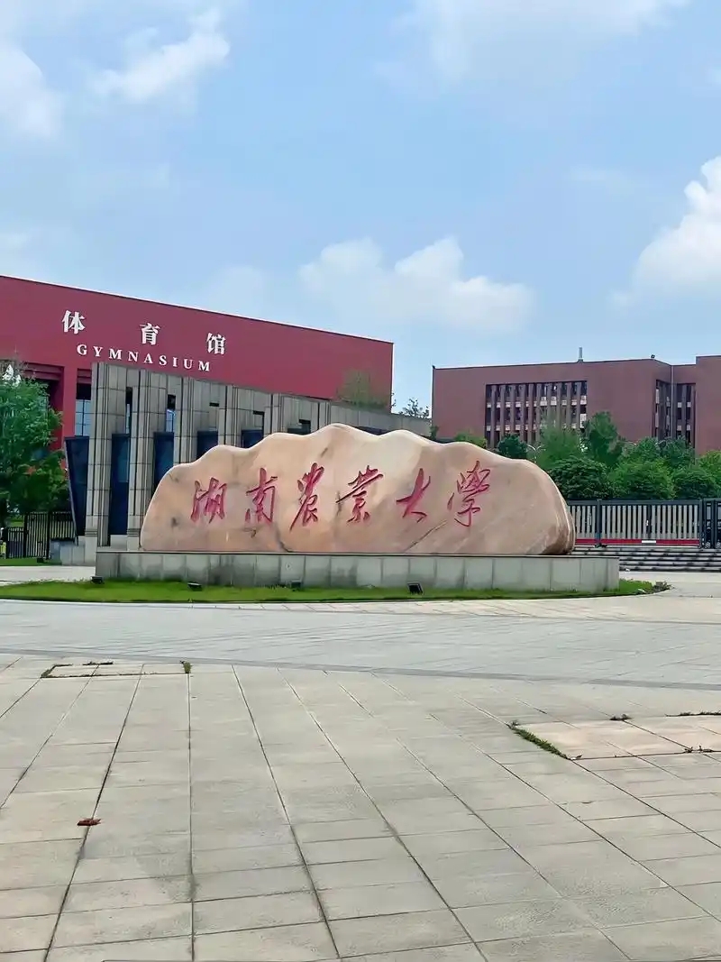 湖南公办二本大学有哪些？附排名及分数线（2025参考）