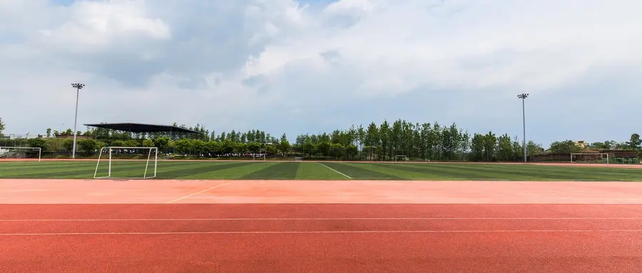 2025年新疆高校录取分数线全汇总：本科专科批次参考(图1)