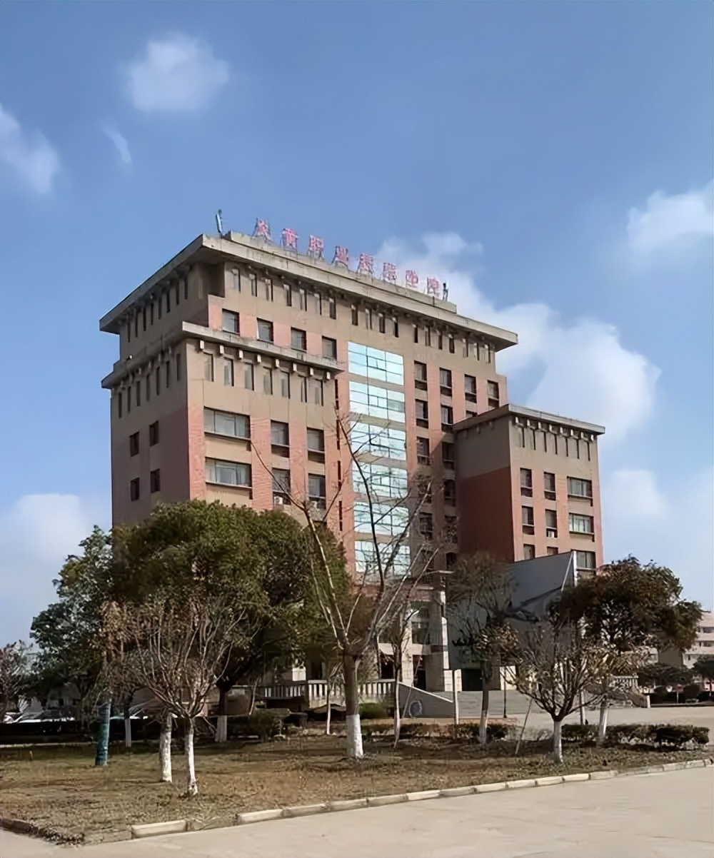 江苏历史类低分民办专科名单，220分可报院校及录取位次(图1)
