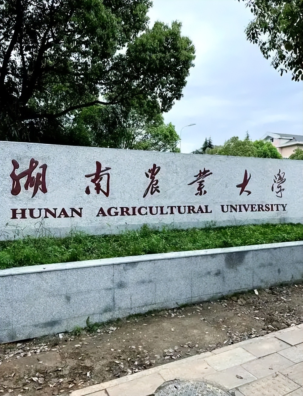 湖南公办二本大学有哪些？附排名及分数线(图2)
