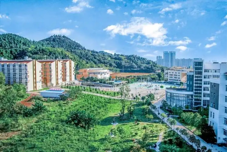 绵阳分数最低的二本大学：2026多少分可以上？(图1)
