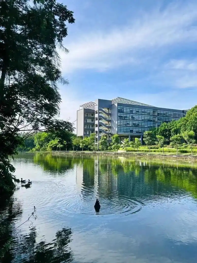 东莞最好的一本大学排名（实力最强）(图1)