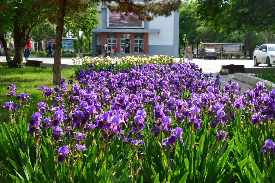 2024年曲阜师范大学在福建录取分数线（附近几年最低位次排名）