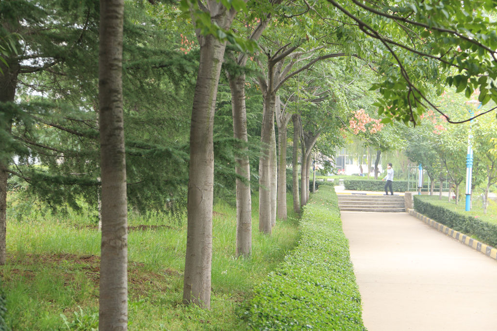 2024年江西师范大学在江西录取分数线（附近几年最低位次排名）