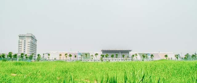 2025年甘肃地方公费师范生分数线(含录取专业)(图1) 2025年甘肃地方公费师范生分数线(含录取专业)(图1)