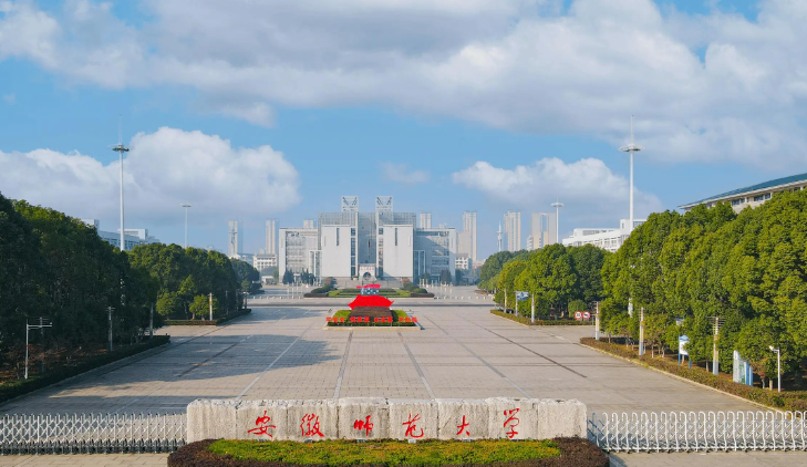 2025年安徽定向培养乡村教师分数线（含定向地区）