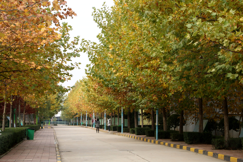 2024年首都医科大学在河南录取分数线（附近几年最低位次排名