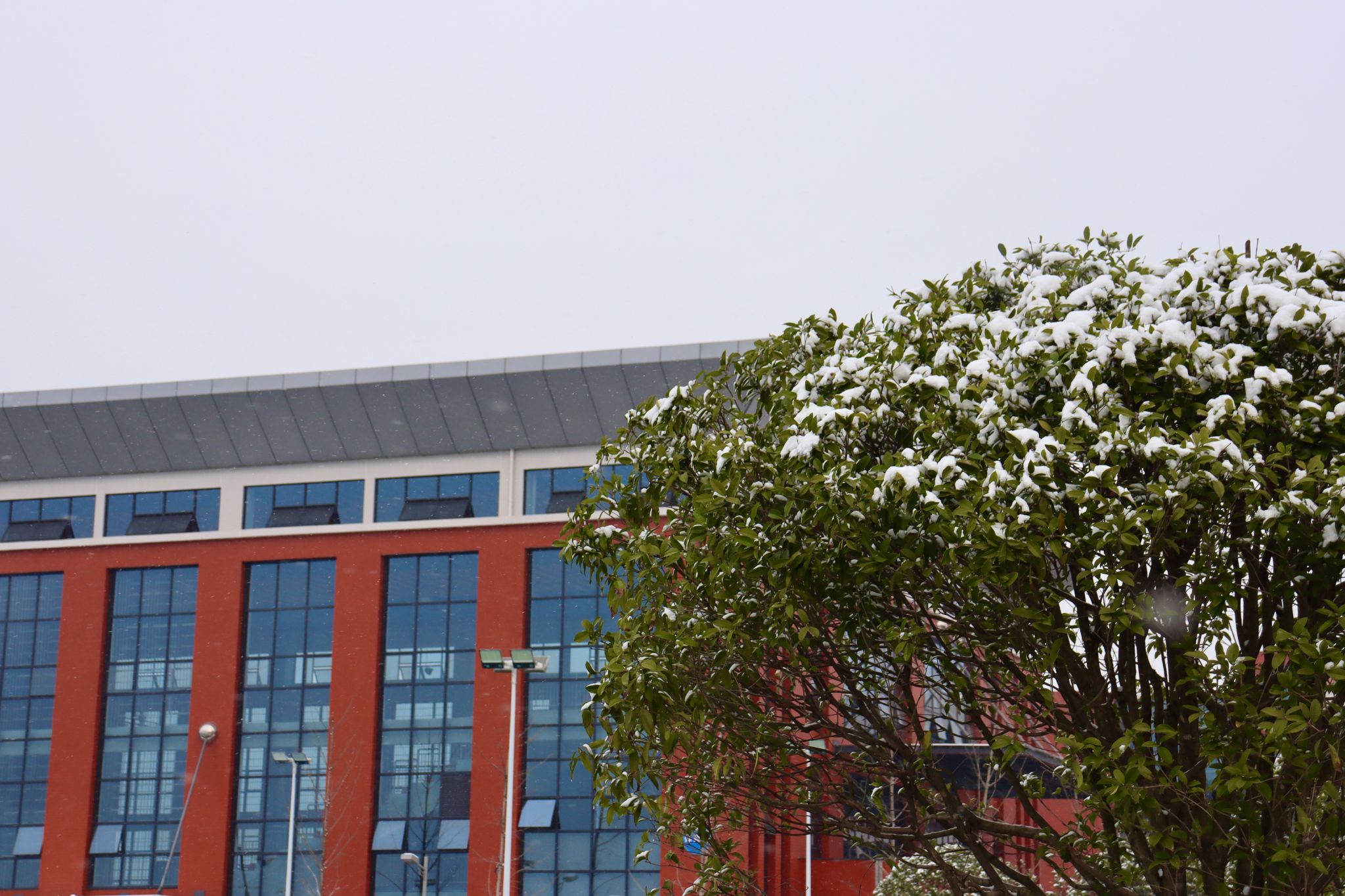 2024年安徽大学在广西录取分数线（附近几年最低位次排名）