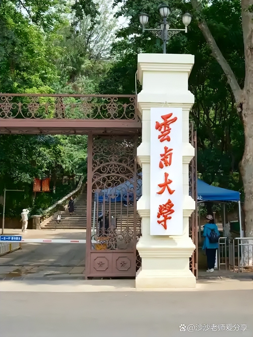 2026年云南省参加高考人数：历史类、物理类有多少？(图3)