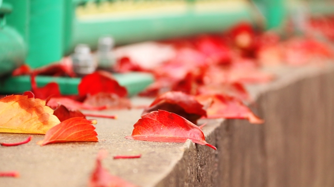 广东高考成绩多少分能报考黔南民族医学高等专科学校?附2023