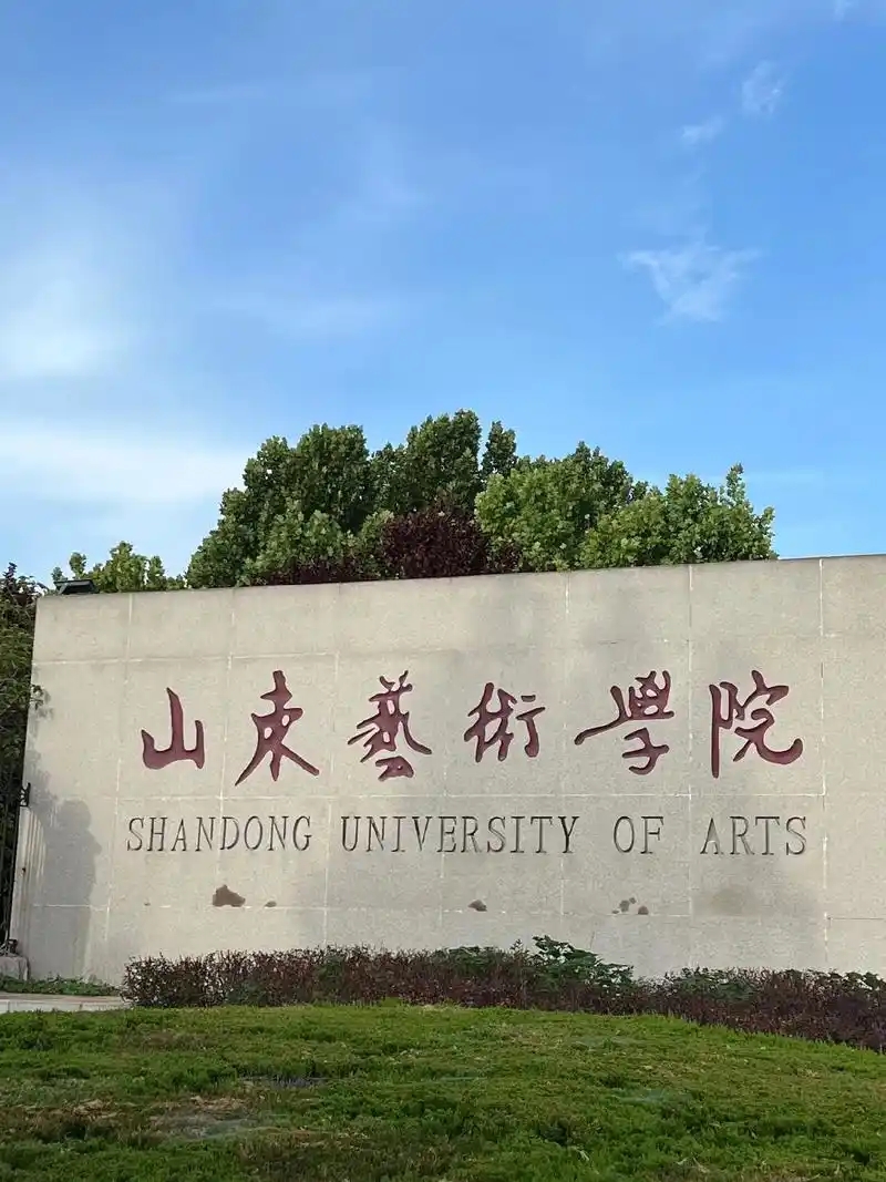 2025 山东艺术类大学名单及最低录取分数线 2026 报考参考(图3)