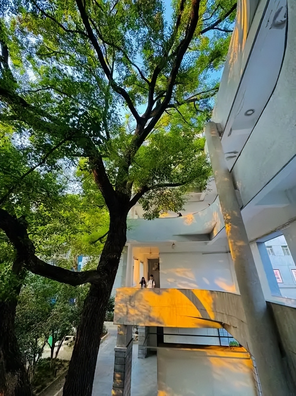 湖北艺术类大学名单及录取分数线 2026 艺考报考指南(图2)