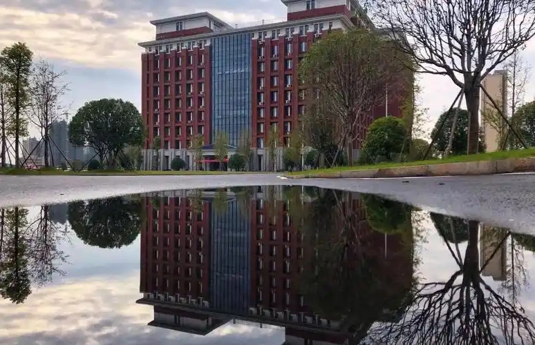 湖南艺术类大学名单及 2025 录取分数线 2026 高三参考(图1)