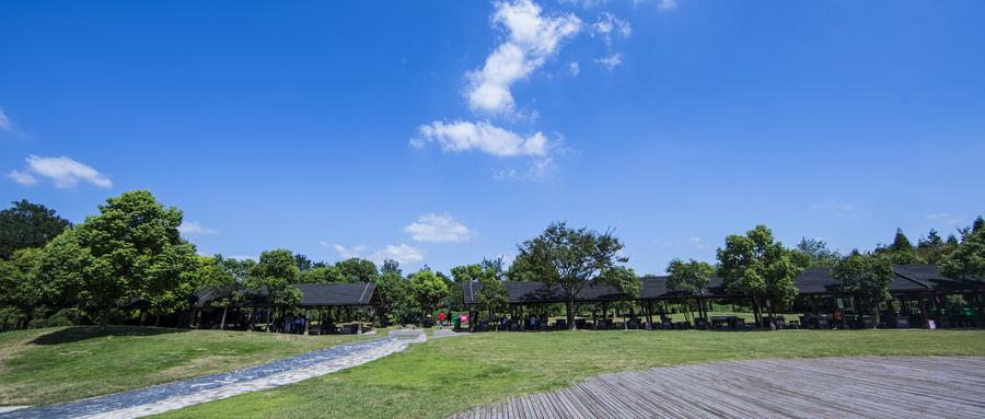 天津海运职业学院2025年录取分数线是多少？附提前批各专业分