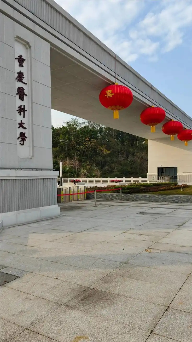 2025年二本最吃香的大学有哪些？附全国二本大学排名榜单(图3)