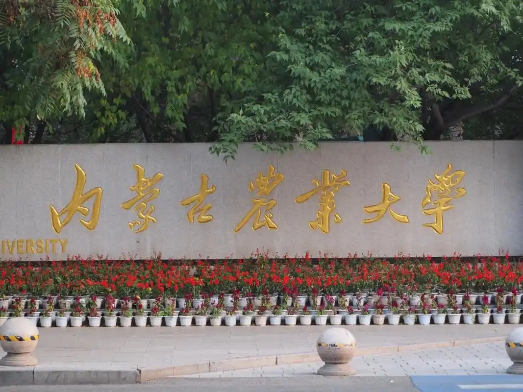 内蒙古最好的二本院校有哪些？软科排名 + 录取数据详解(图1)