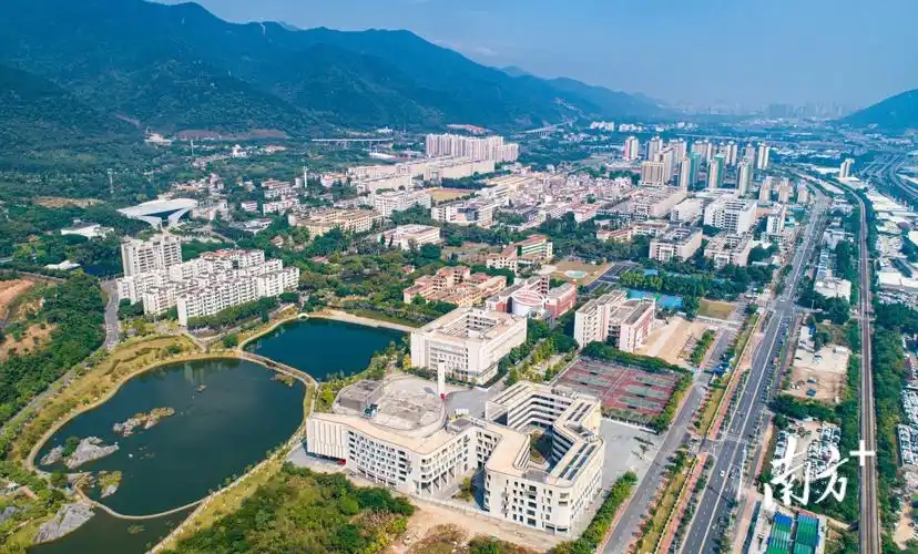 2026肇庆公办二本大学有哪些？附学校名单