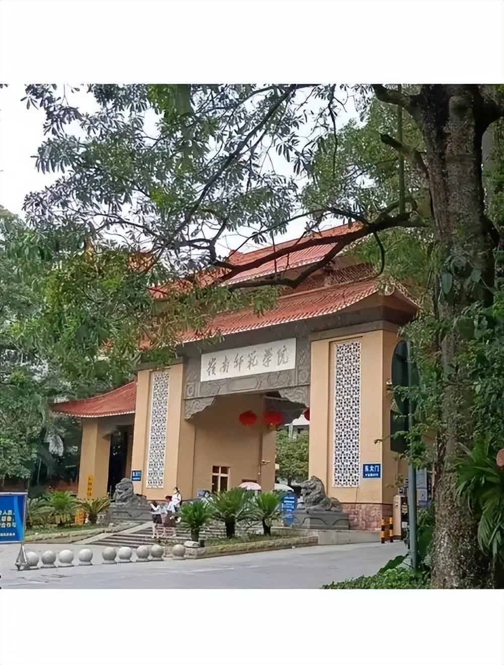 2026 湛江高考生必看：本地公办二本院校分数线及排名(图2)