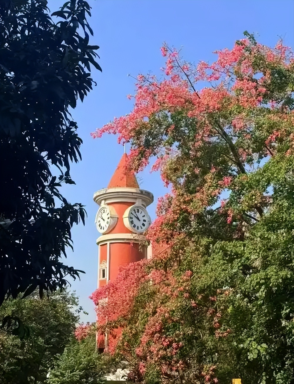 2026 湛江高考生必看：本地公办二本院校分数线及排名(图3)