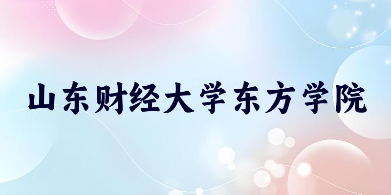 河北考生必读:山东财经大学东方学院2025招生计划及历年录取分数线及位次
