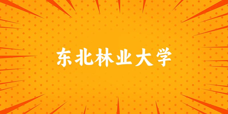 东北林业大学2025年在重庆各专业录取分数线（附院校分数线位次）