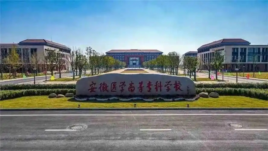 2026 安徽考生必看：2025 公办大专录取分数及位次