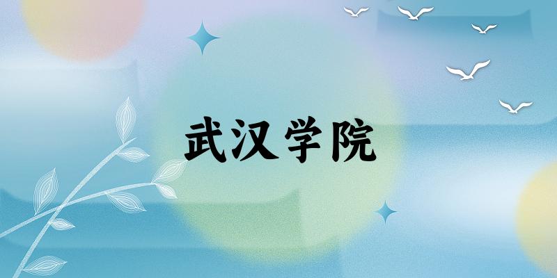 2025年武汉学院在河北全部专业录取位次、分数线 （附院校录