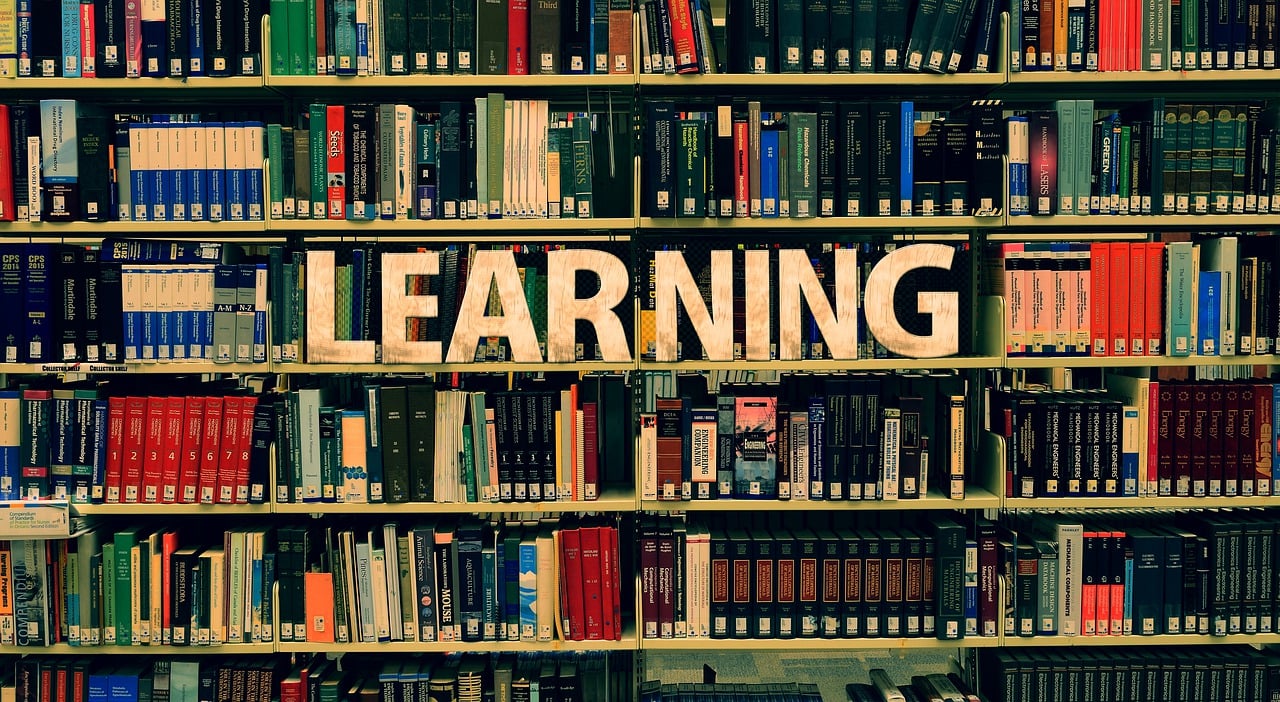 阳光学院近年在河南录取分数线概览（包括2022-2024各专业最低分数线）