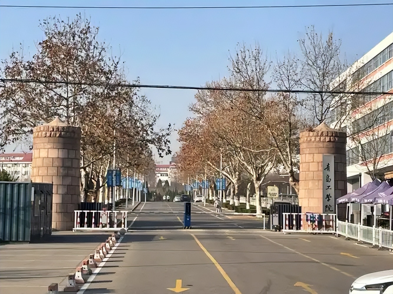 青岛市本科大学最低分数线:2026高考多少分能上?(图1) 青岛市本科大学最低分数线:2026高考多少分能上?(图1)