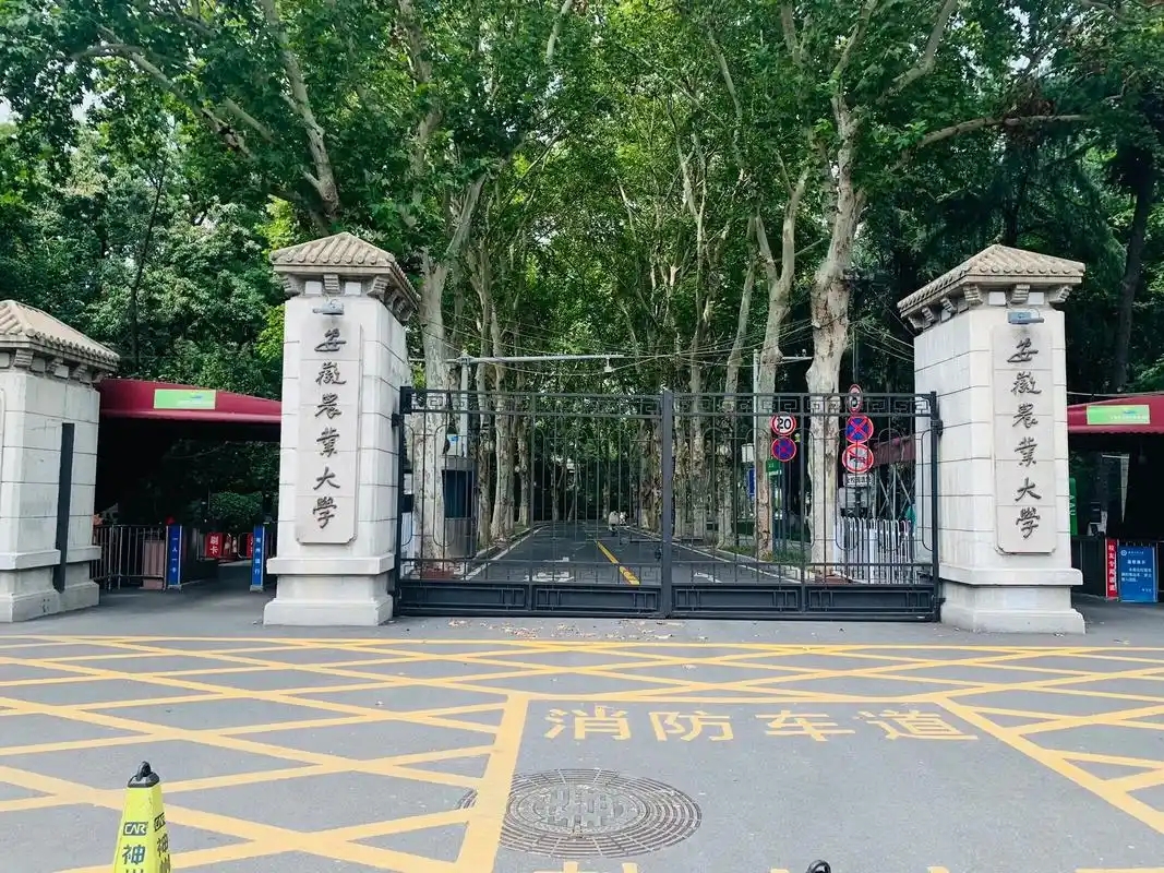 合肥市本科大学有哪些？附所有学校名单及分数线(图1)