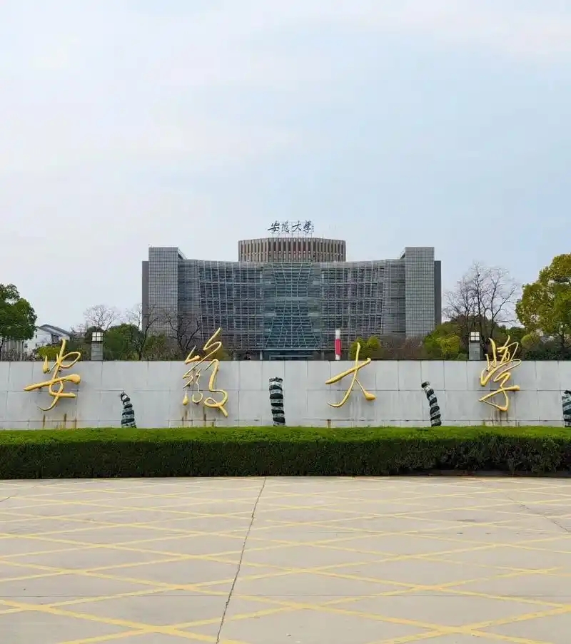 合肥市本科大学有哪些？附所有学校名单及分数线(图3)