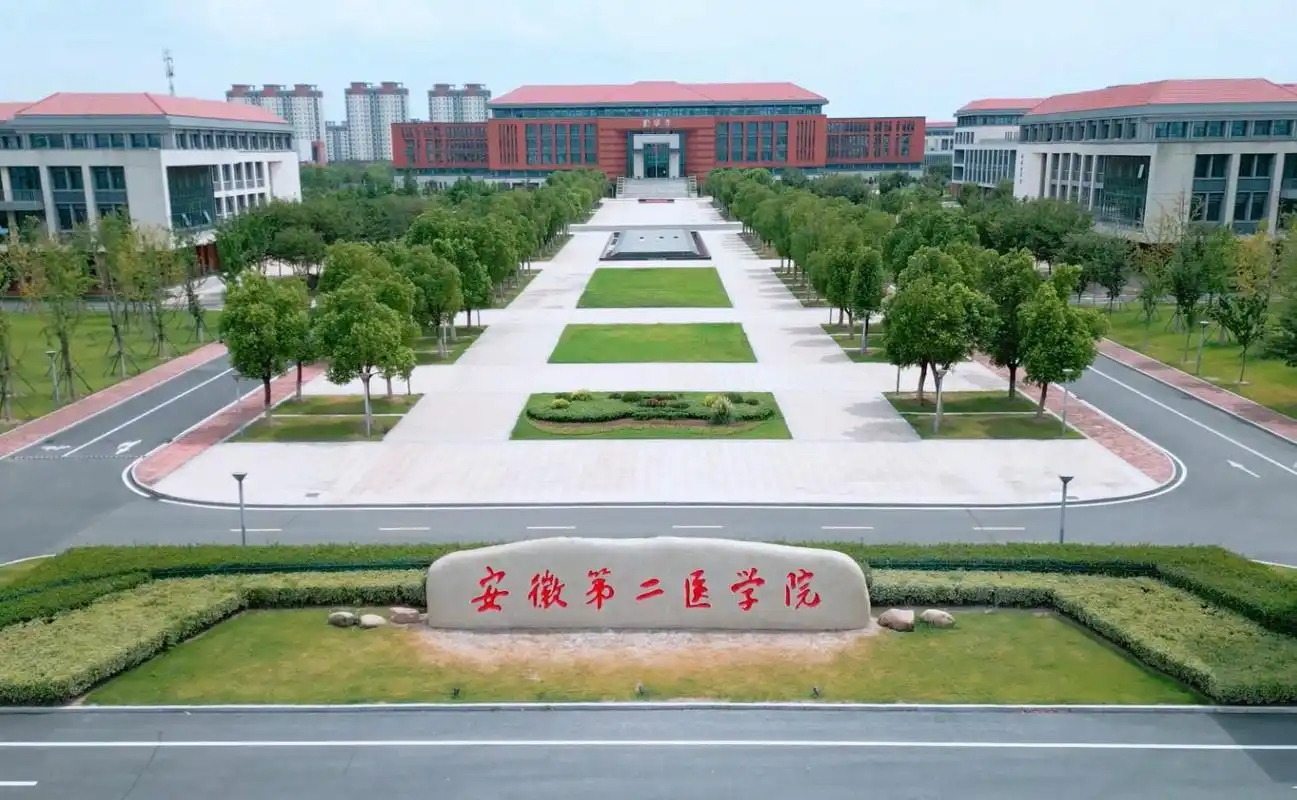 合肥市本科大学有哪些？附所有学校名单及分数线(图2)