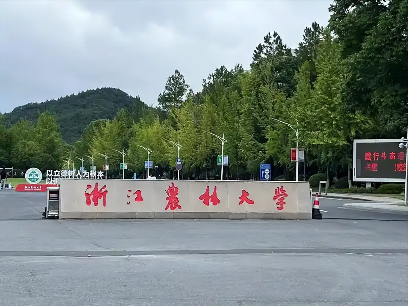 杭州市本科大学有哪些？附所有学校名单及分数线(图1)